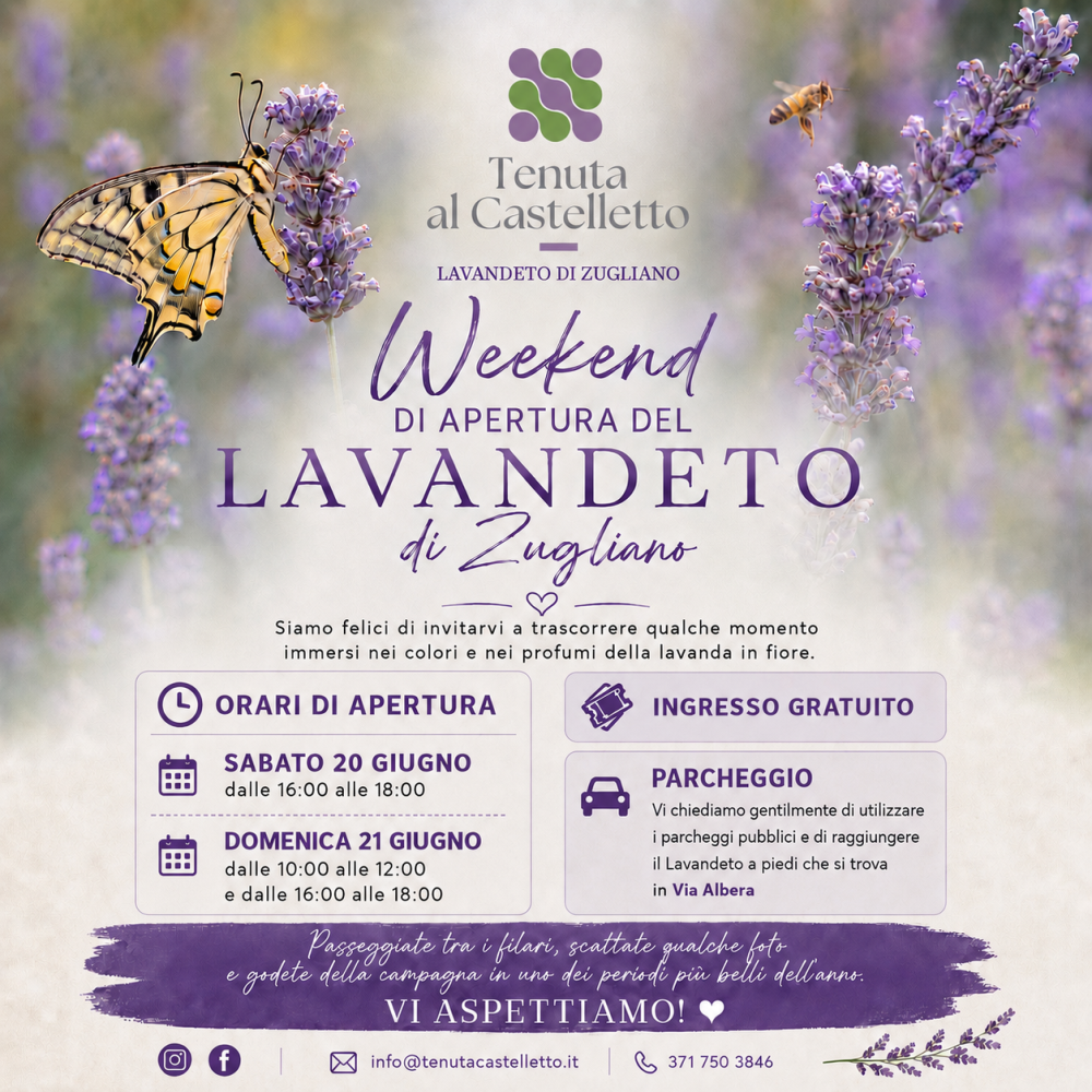 Aperture del Lavandeto di giugno ‘26